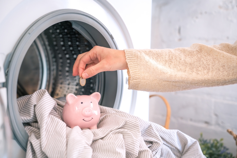 How Much Do Laundry Apps Cost?