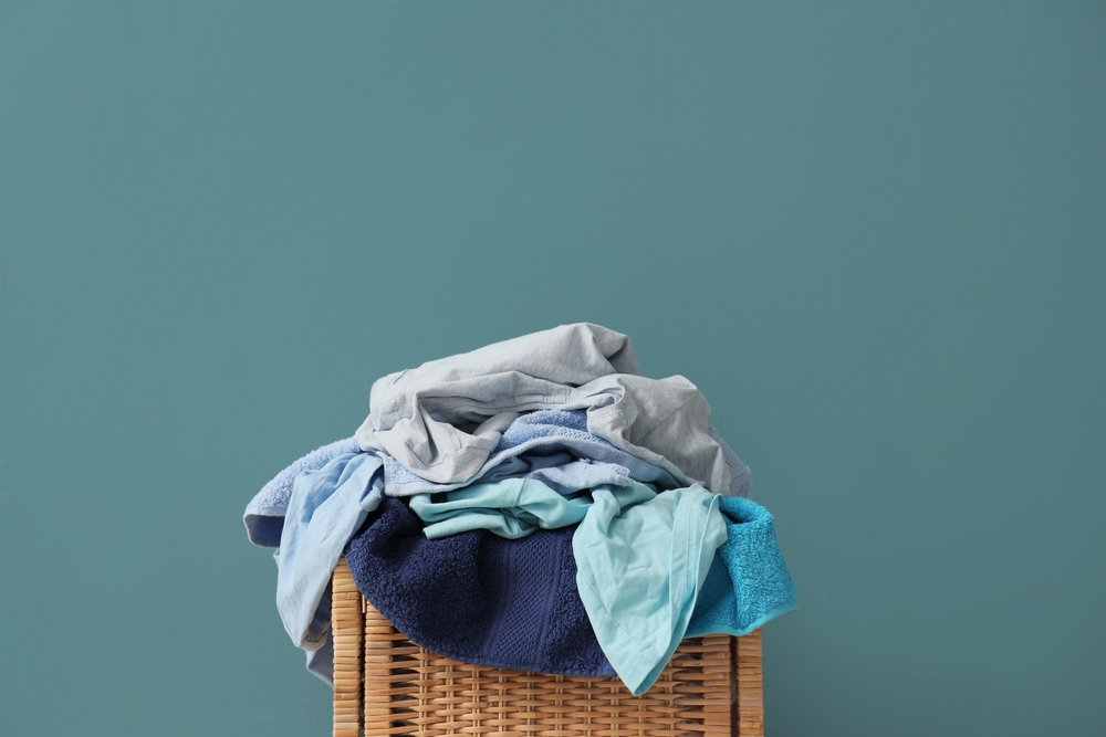 Find the best laundry service today