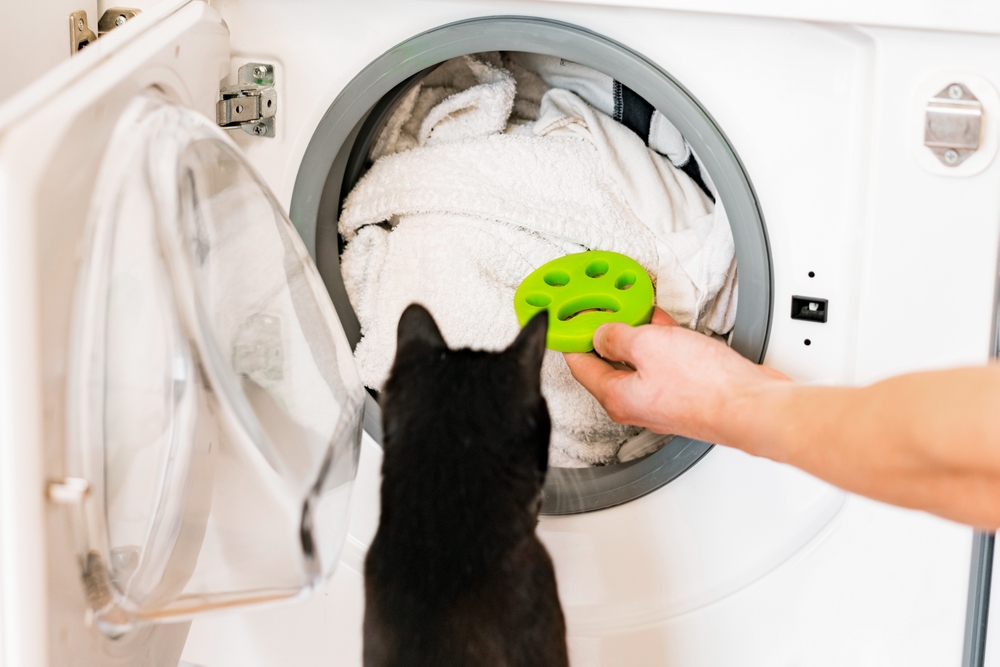 Top Laundry Tips for Pet Owners