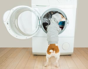 How to Remove Pet Hair from Laundry